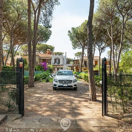 Domu Nicchedda 福特村